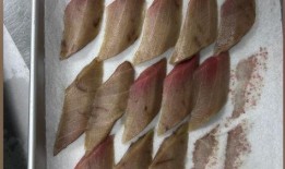 深圳寿司郎最新爆料,独家揭秘寿司制作背后的秘密