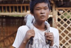 阳弟直播爆料最新消息,揭秘行业动态，热点事件一网打尽