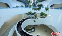 四川餐饮爆料案件最新进展,真相逐步浮出水面