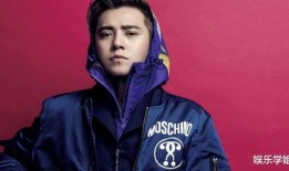 罗志祥微博最新爆料,揭秘娱乐圈惊人内幕